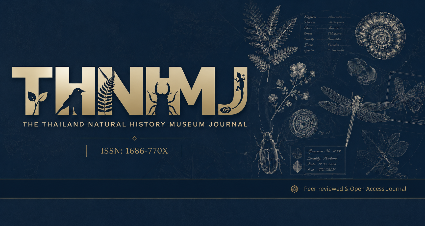 Homepage